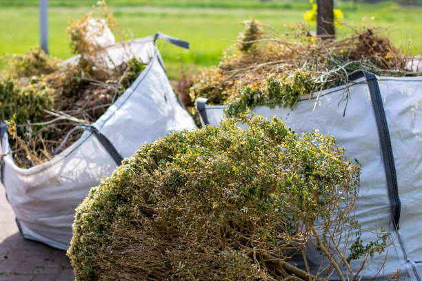 Best Demolition Debris Removal  in Tutwiler, MS